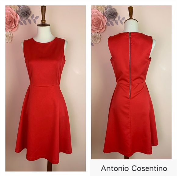 ANTONIO COSENTINO Dresses & Skirts - ANTONIO COSENTINO Fit & Flare Back Zipper Dress